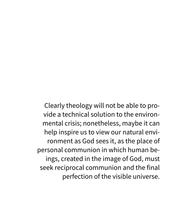 Clearly theology will not be able to provide a technical solution to the environmental crisis; nonetheless, maybe it can help inspire us to view our natural environment as God sees it, as the place of personal communion in which human beings, created in the image of God, must seek reciprocal communion and the final perfection of the visible universe.